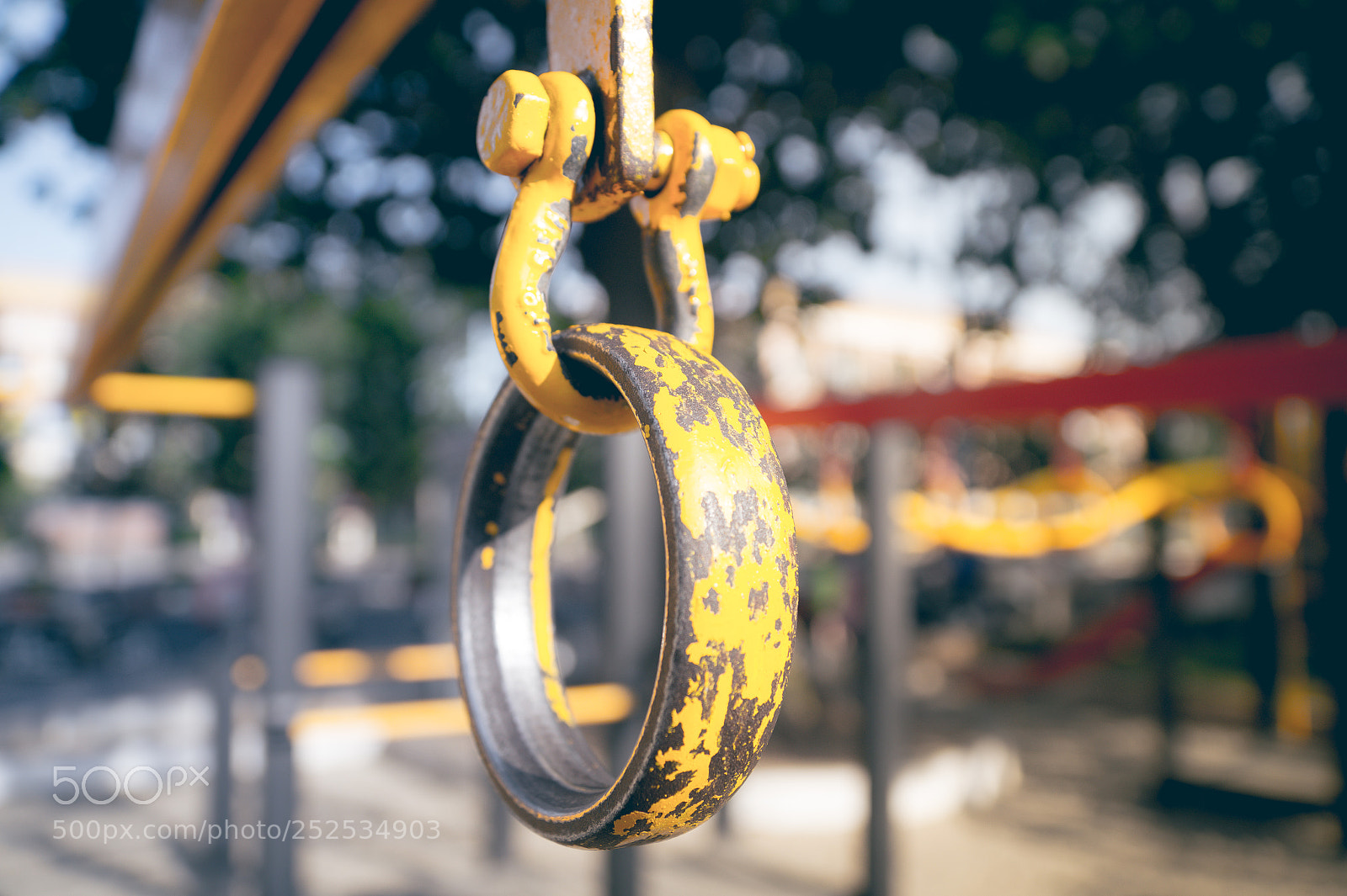 Sony SLT-A58 sample photo. A rolling in park photography