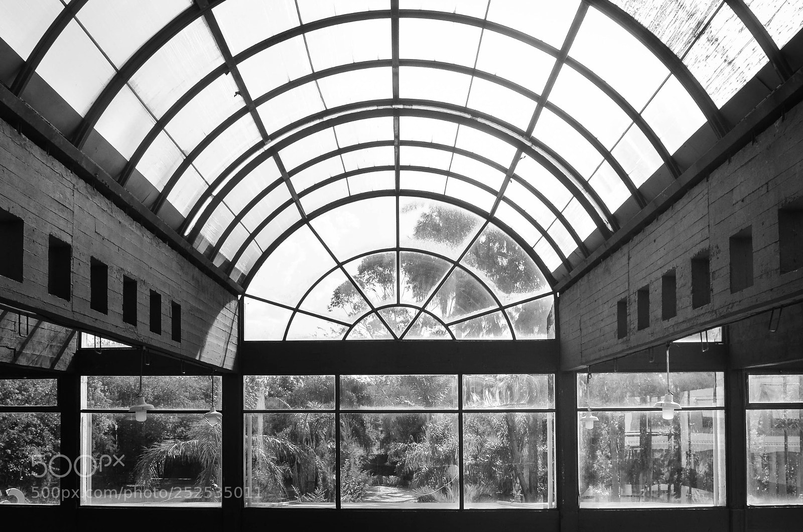 Nikon D5100 sample photo. My private heaven photography