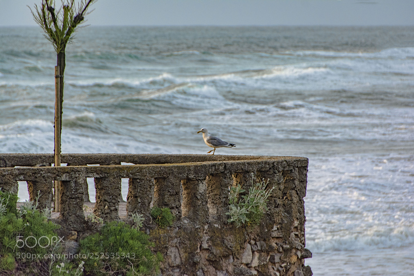 Nikon D5200 sample photo. Biarritz... photography