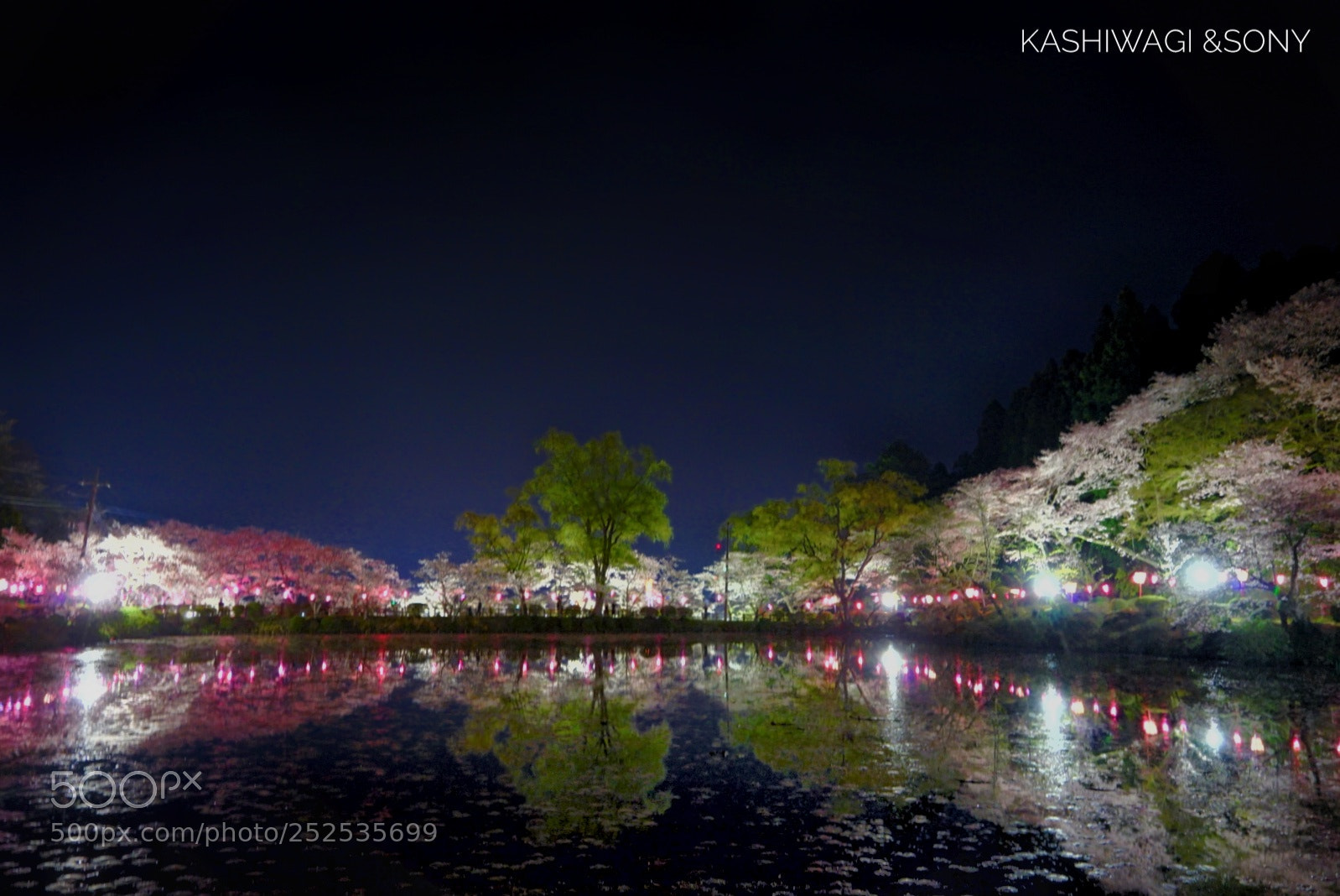 Sony a7 II sample photo. Blooming at night photography