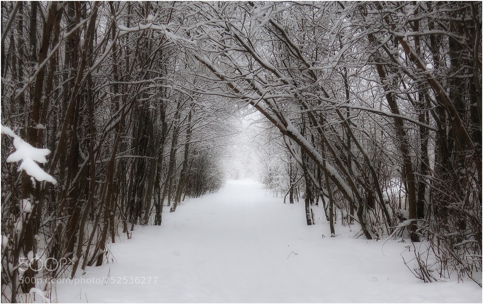 Canon PowerShot G9 X Mark II sample photo. Зимнее утро photography