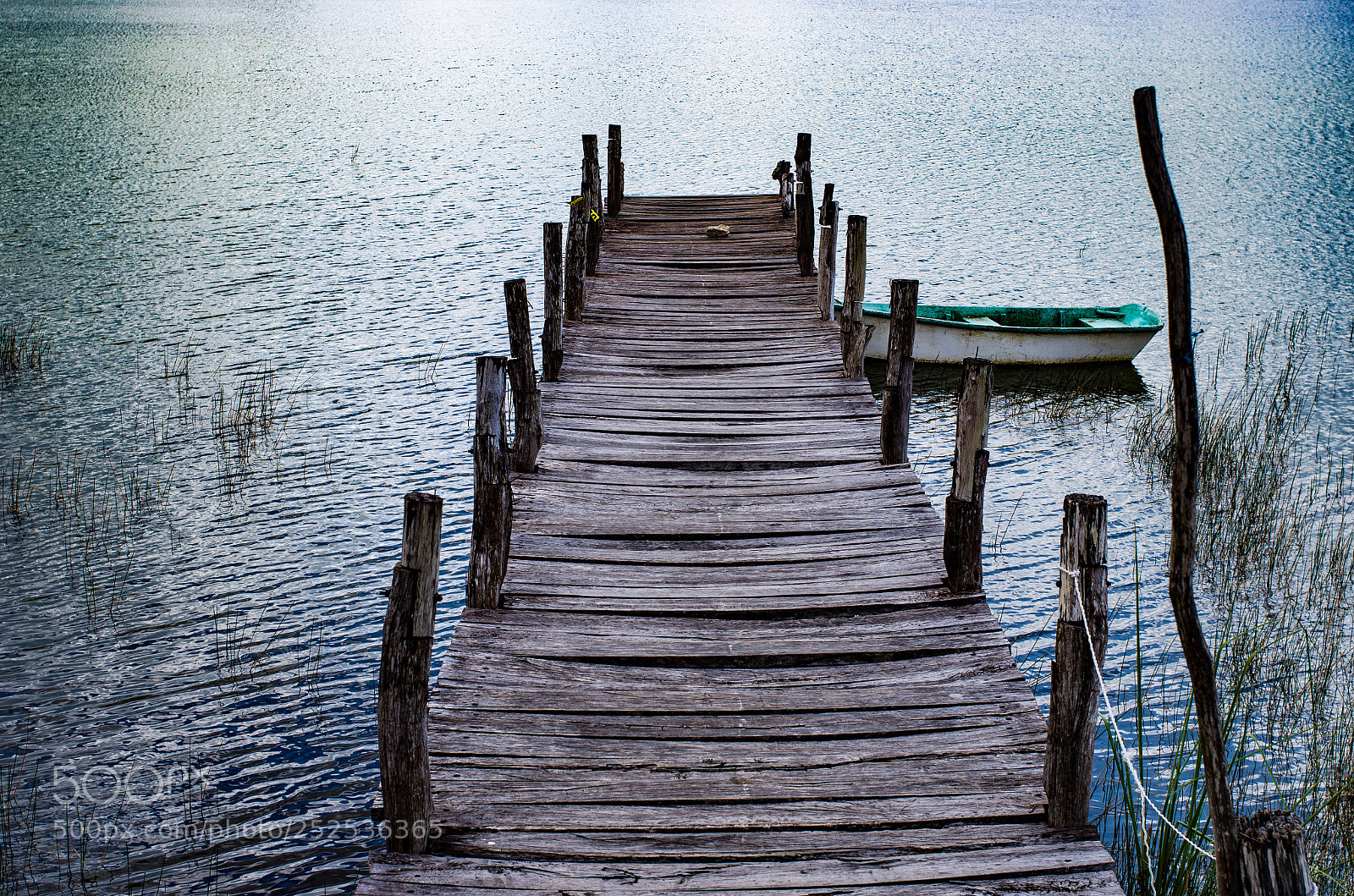 Nikon D7000 sample photo. Laguna cobá photography