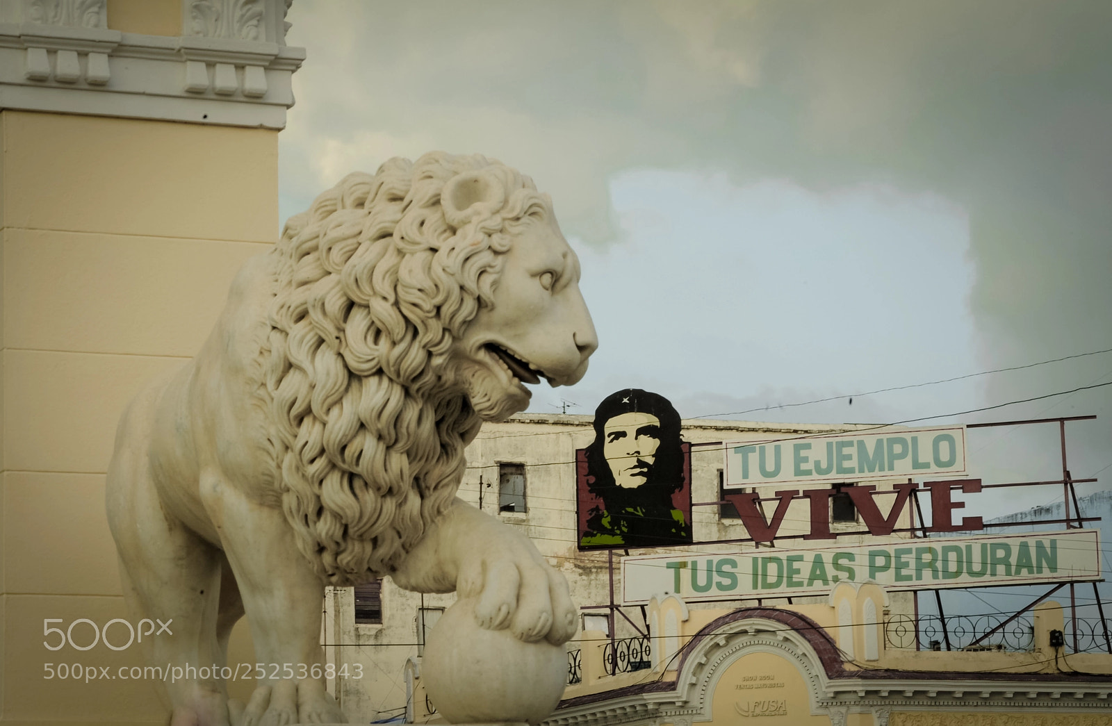 Nikon D700 sample photo. Tu ejemplo photography