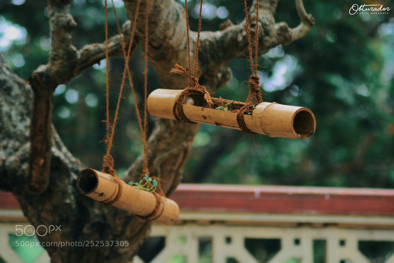 Nikon D5200 sample photo. Tapices photography