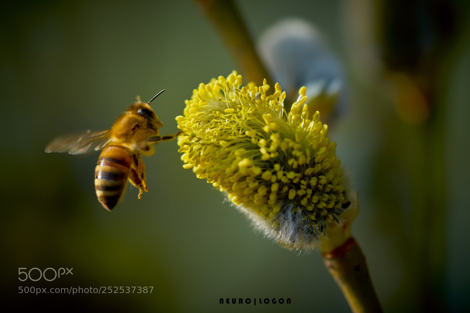 Sony a7R II sample photo. The touch photography