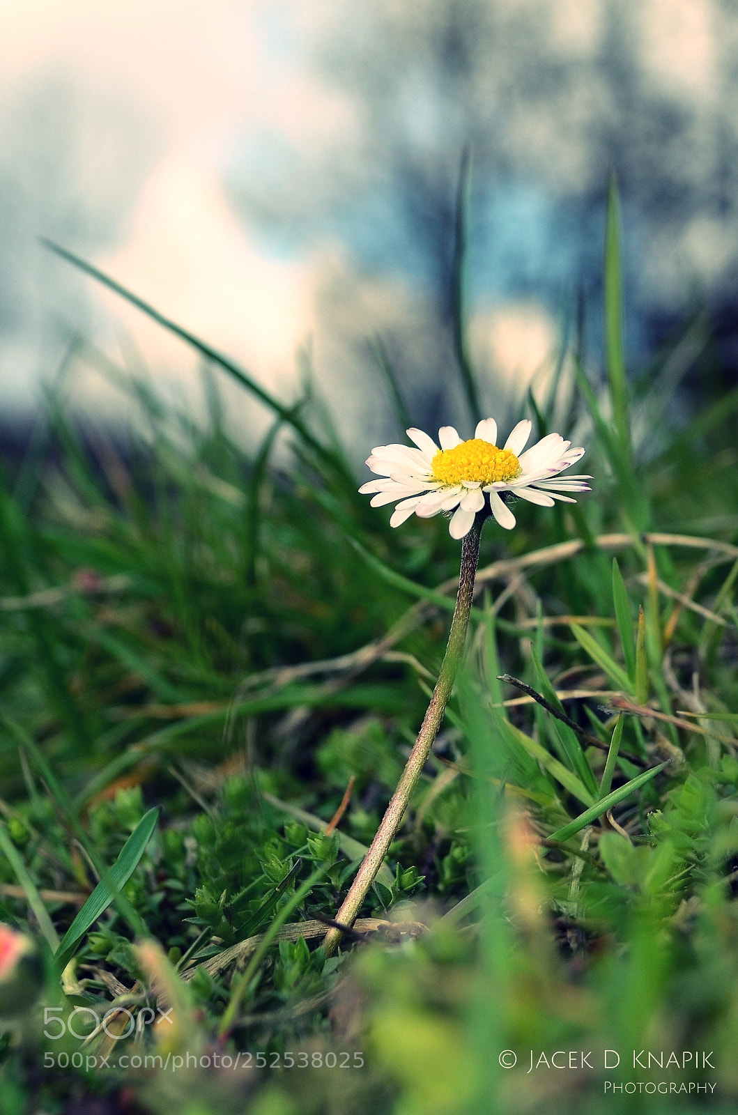 Nikon D5100 sample photo. G photography