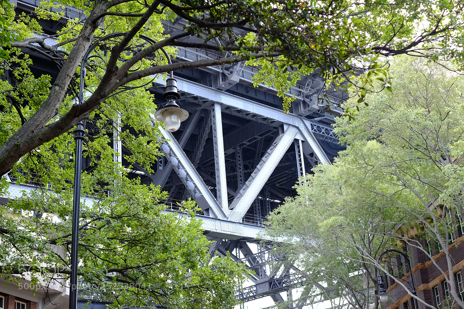 Fujifilm X-Pro1 sample photo. Bridge through the trees photography