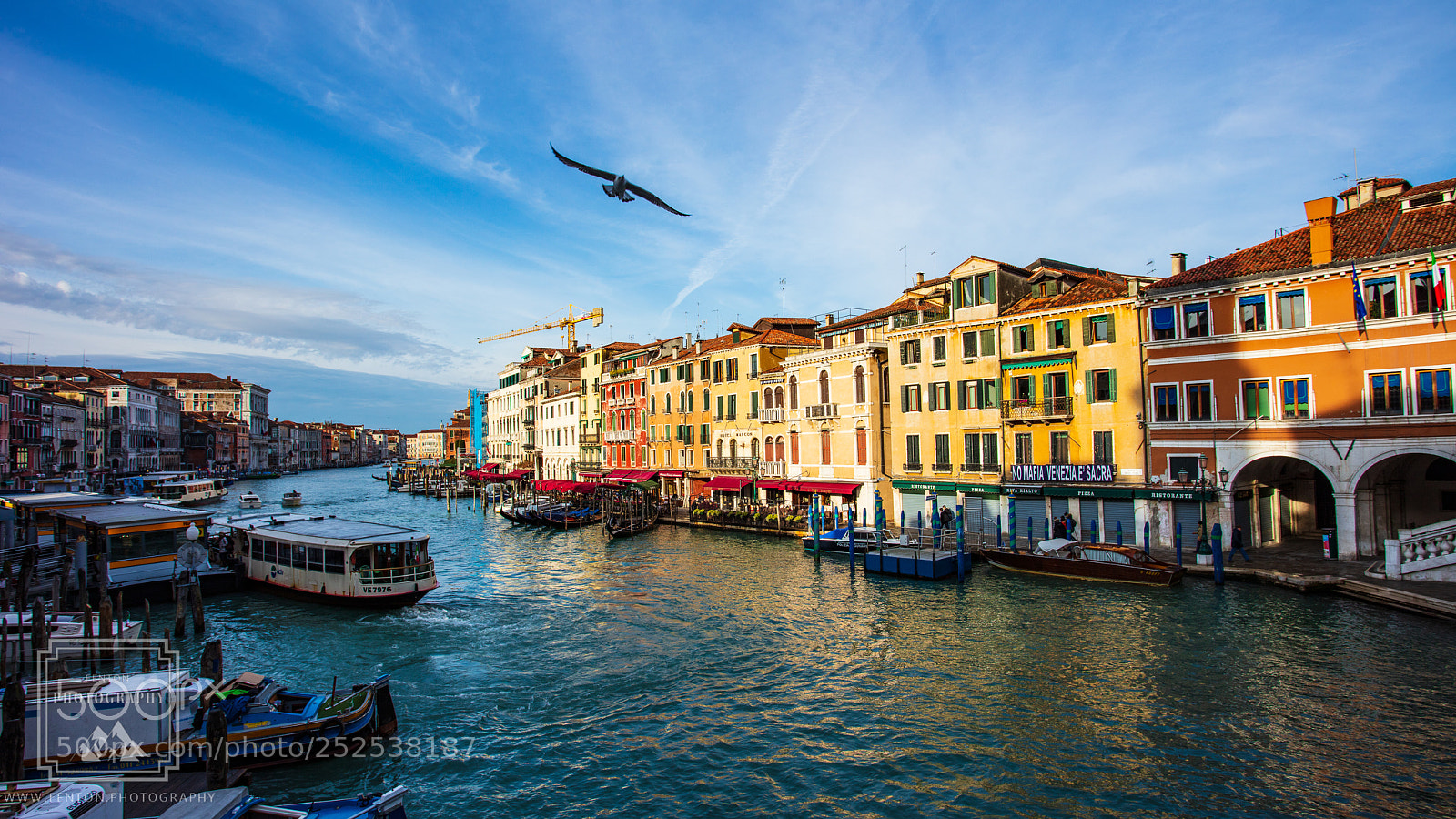 Canon EOS 5DS R sample photo. Soaring photography