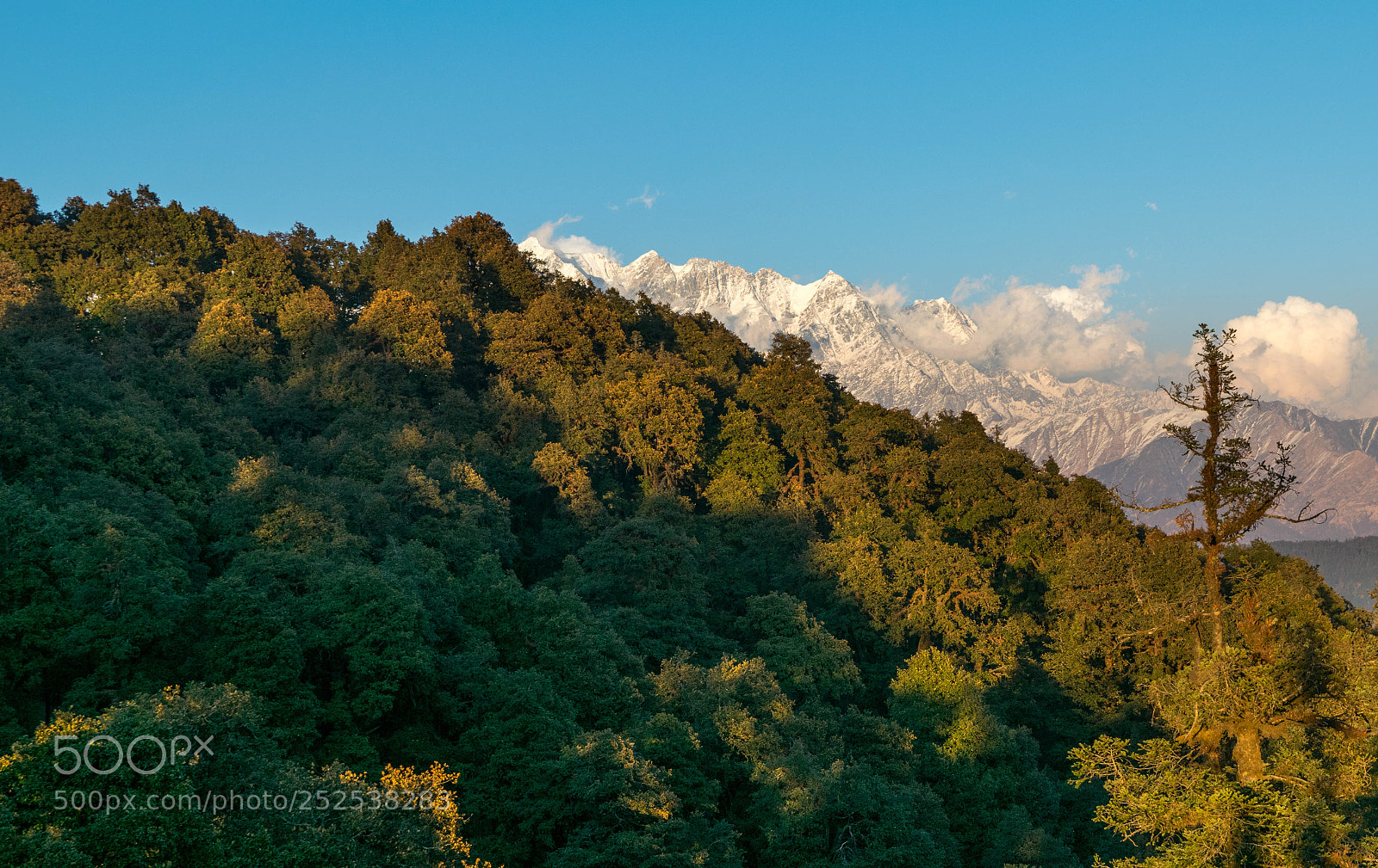 Nikon D3300 sample photo. Snow capped photography