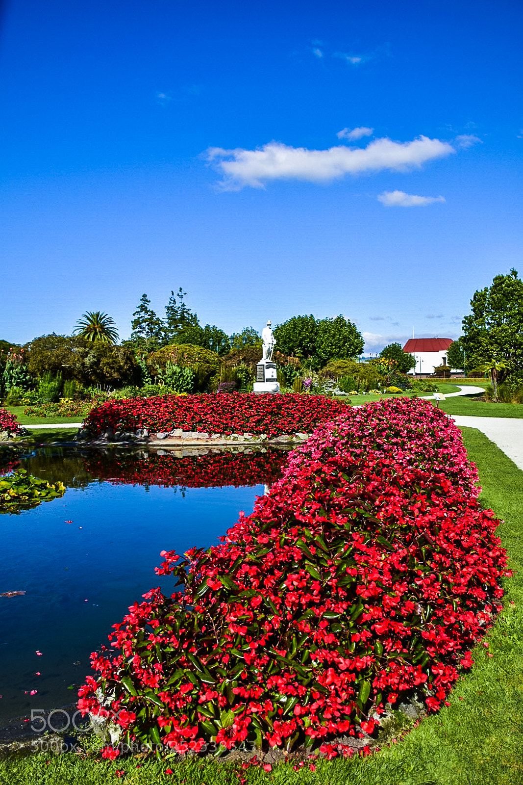 Nikon D5300 sample photo. Rotorua photography