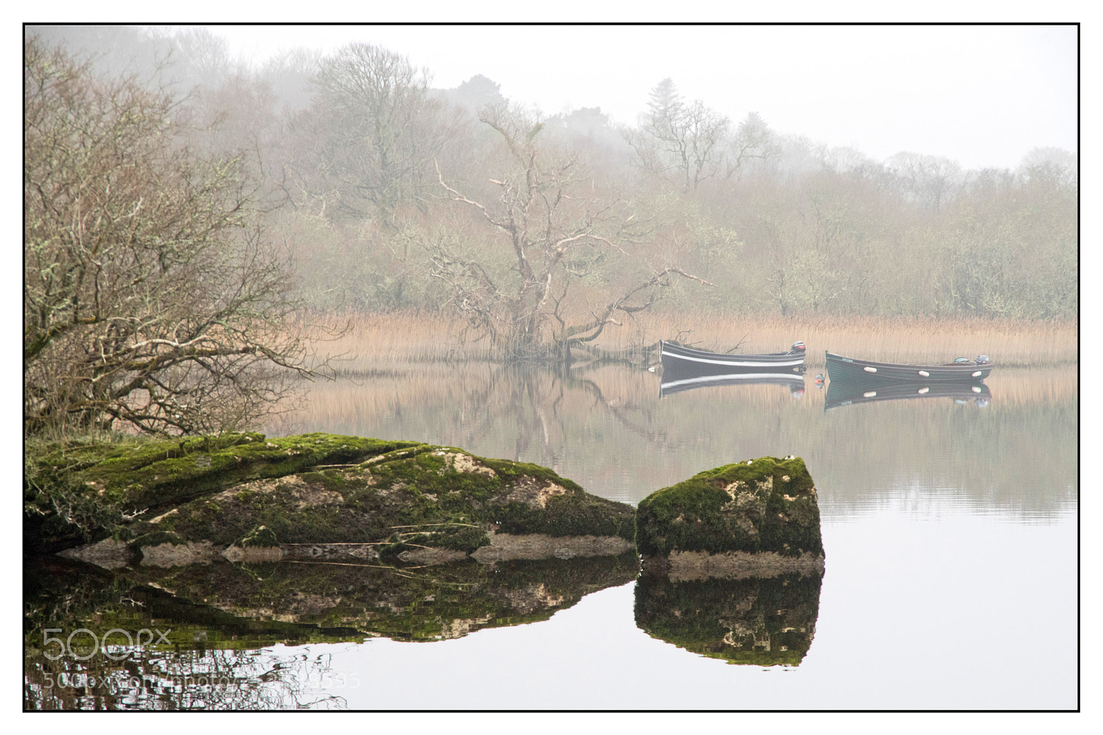 Pentax K-S2 sample photo. Winter fog photography