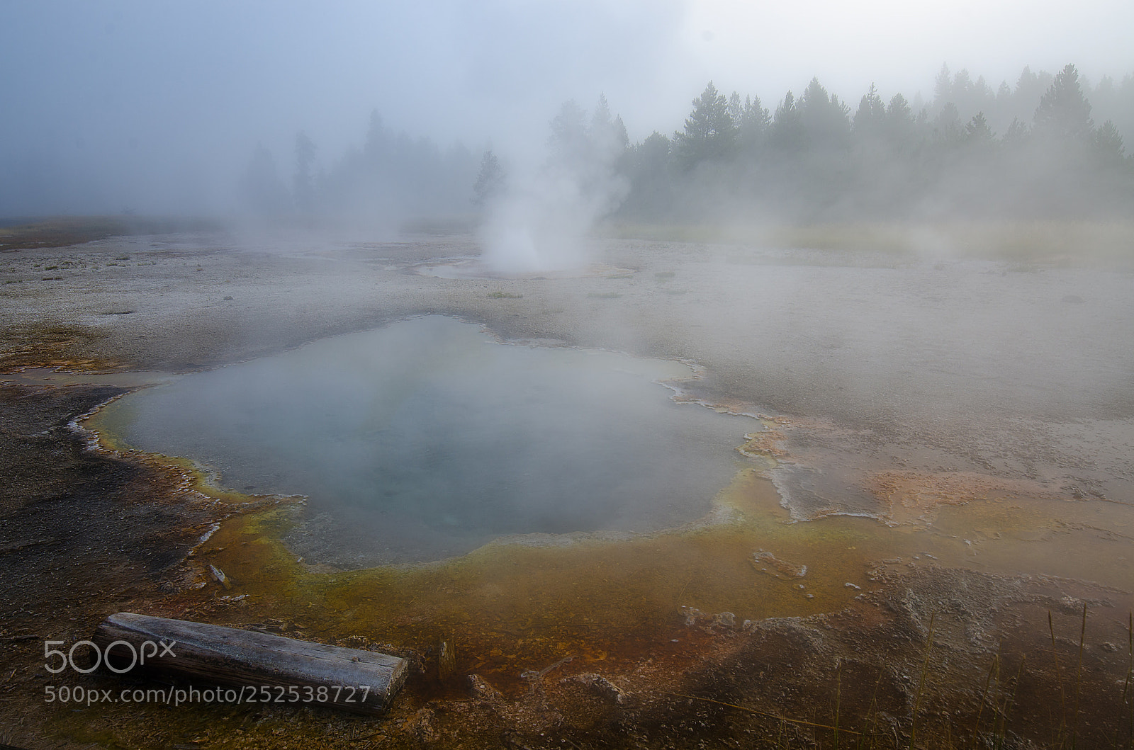 Nikon D7000 sample photo. Foggy morning photography