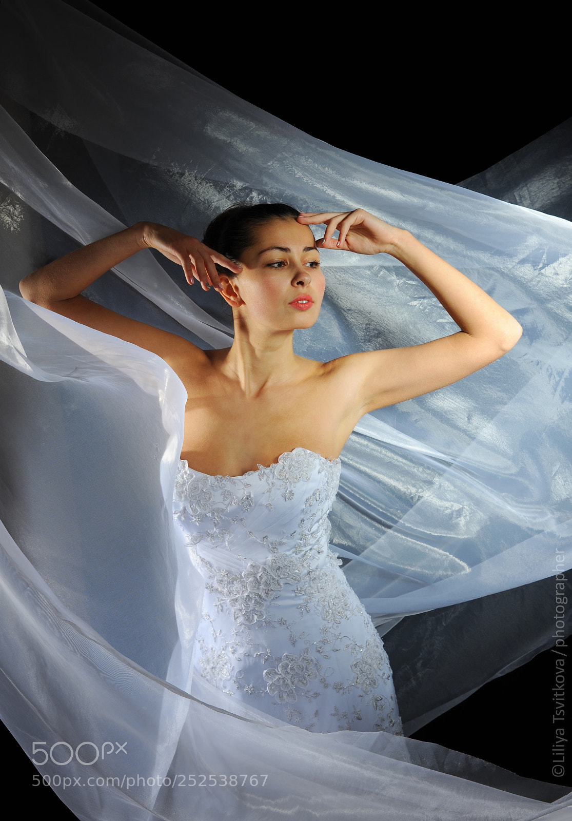 Nikon D700 sample photo. Bride photography