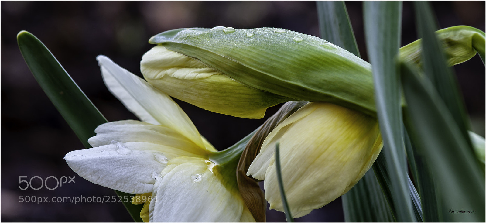 Nikon D300 sample photo. Lehenengoa. photography