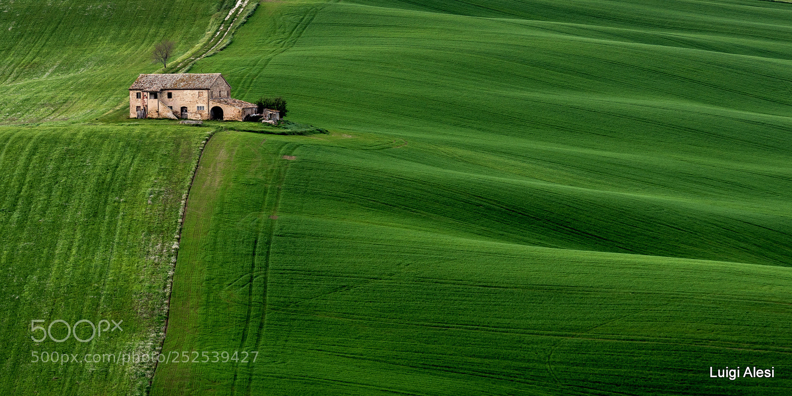 Nikon D7100 sample photo. Marche countryside photography