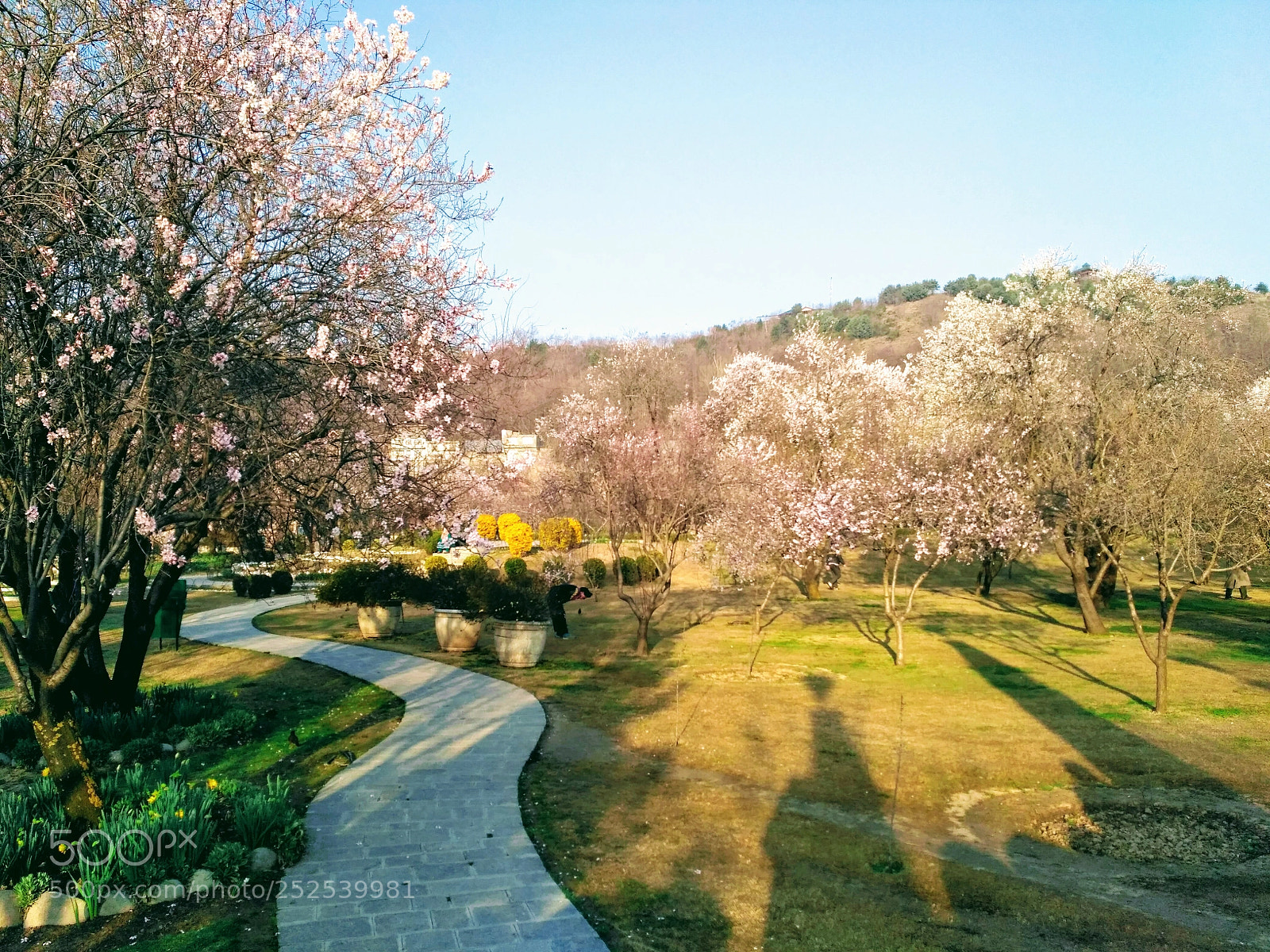 Xiaomi Redmi 3S sample photo. Untitled photography