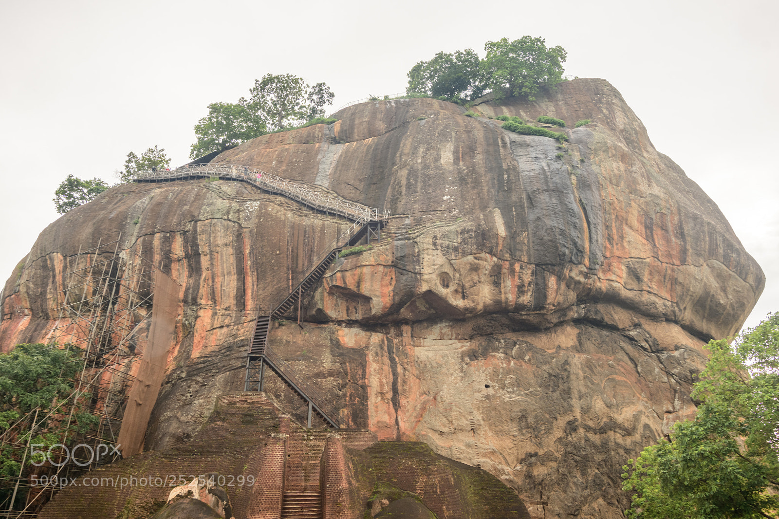 Nikon D7500 sample photo. Lion rock photography