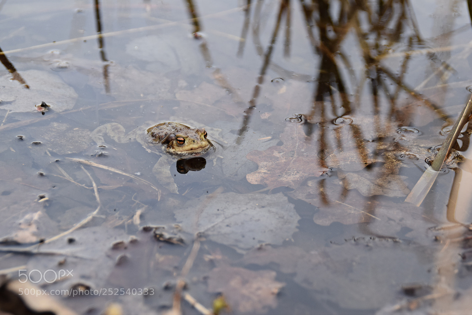 Nikon D5300 sample photo. On a wedding tour photography