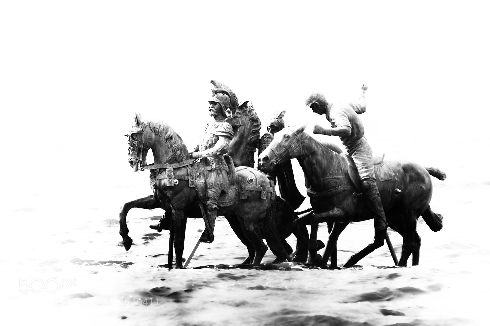 Nikon D500 sample photo. Horses of beaufort ii photography