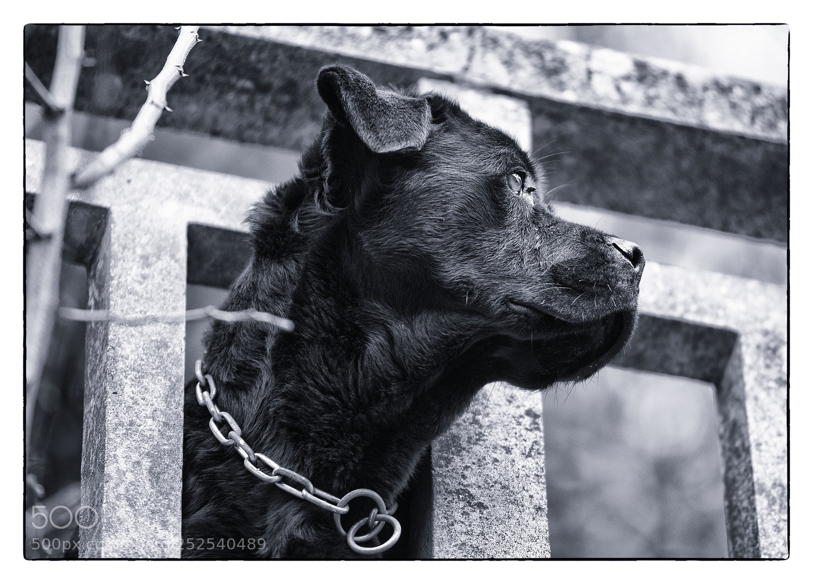 Canon EOS 5D Mark IV sample photo. Untitled photography