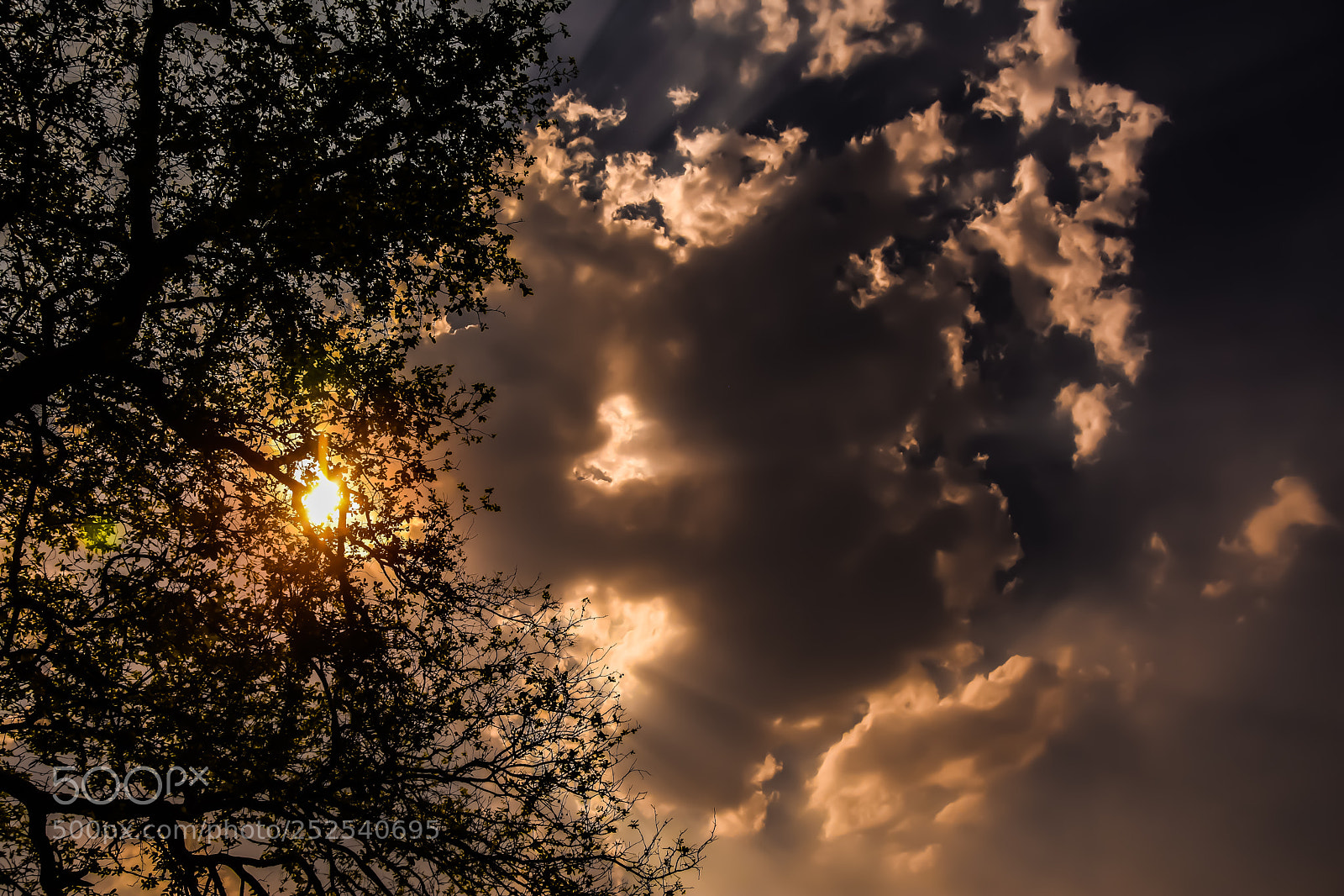 Nikon D7200 sample photo. Evening sky clouds photography