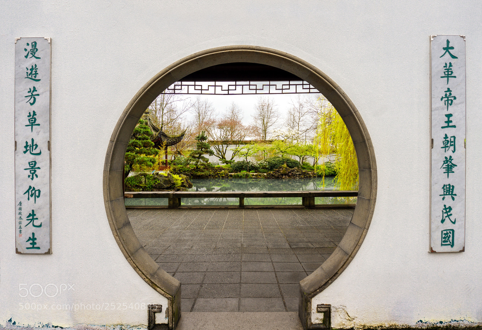 Sony a6000 sample photo. Natural symmetry photography