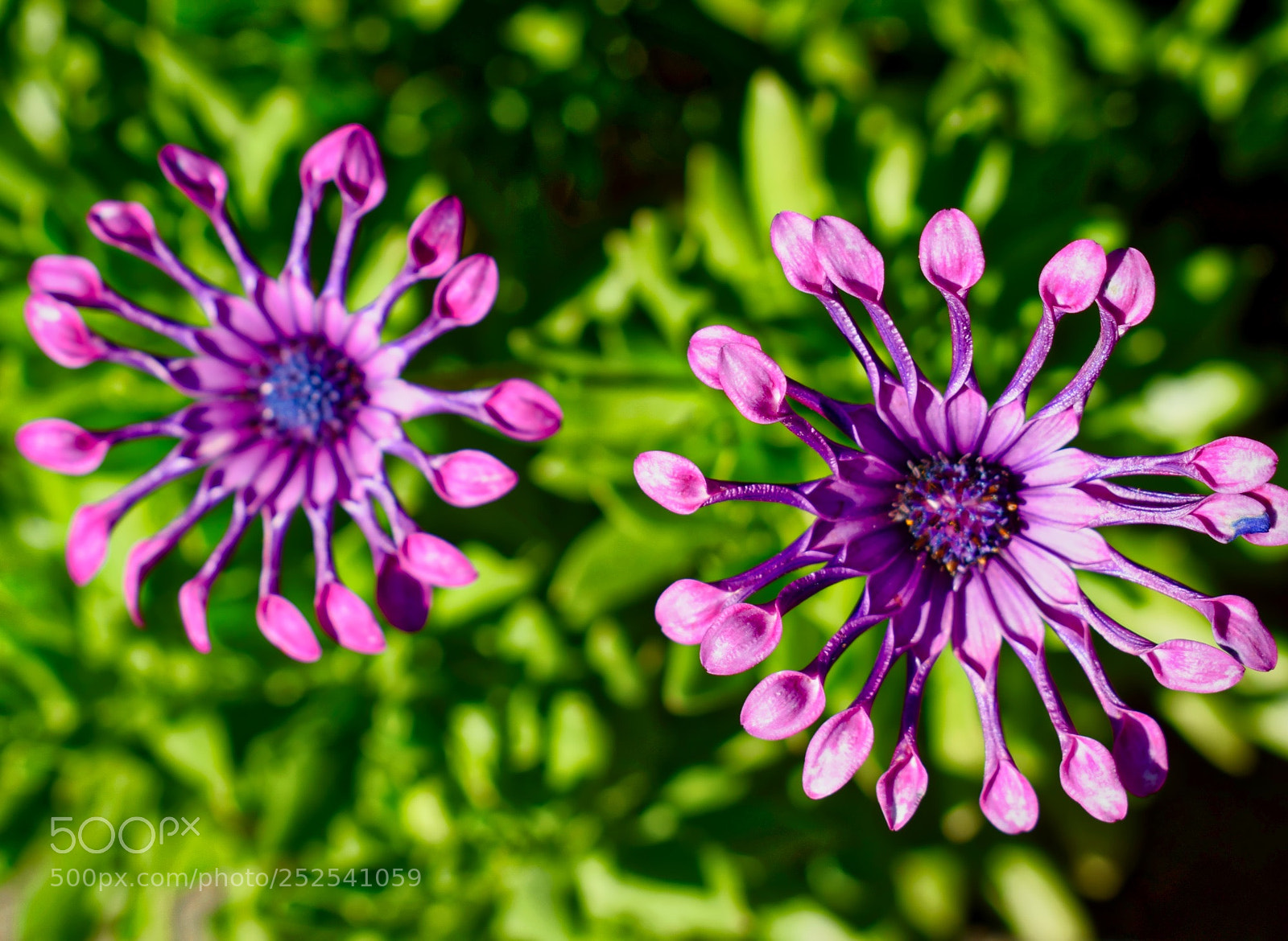 Nikon D5300 sample photo. Lively moment photography