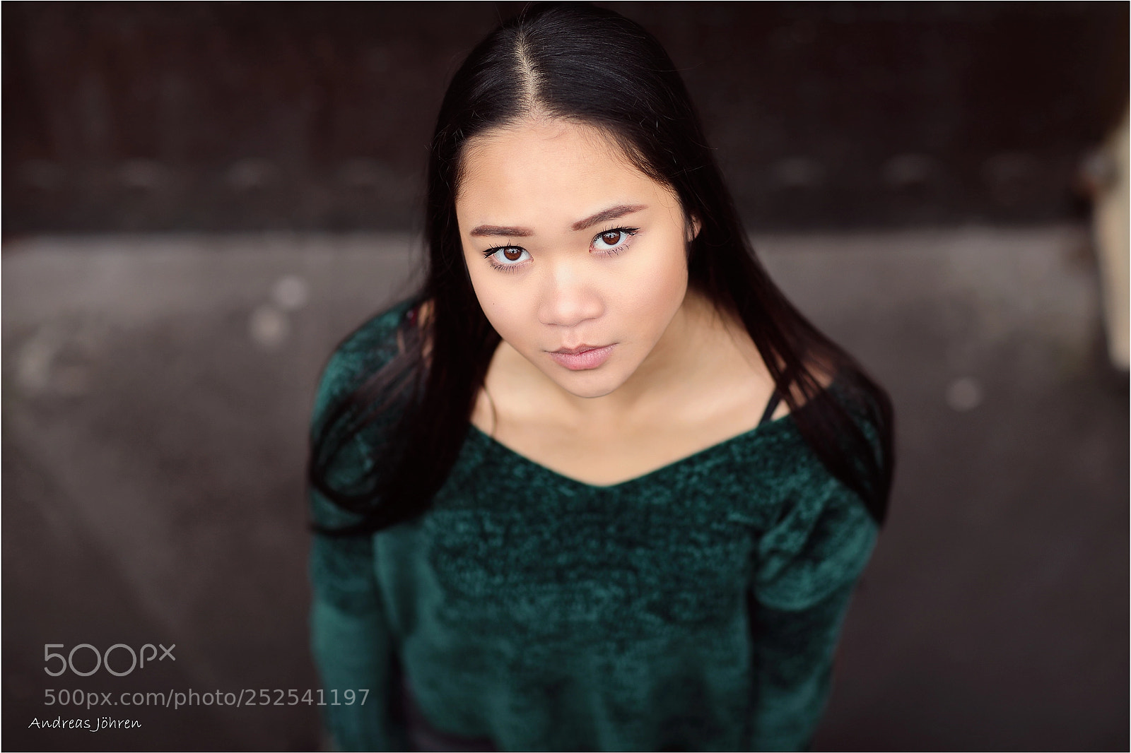 Canon EOS 5D Mark IV sample photo. Looking... photography
