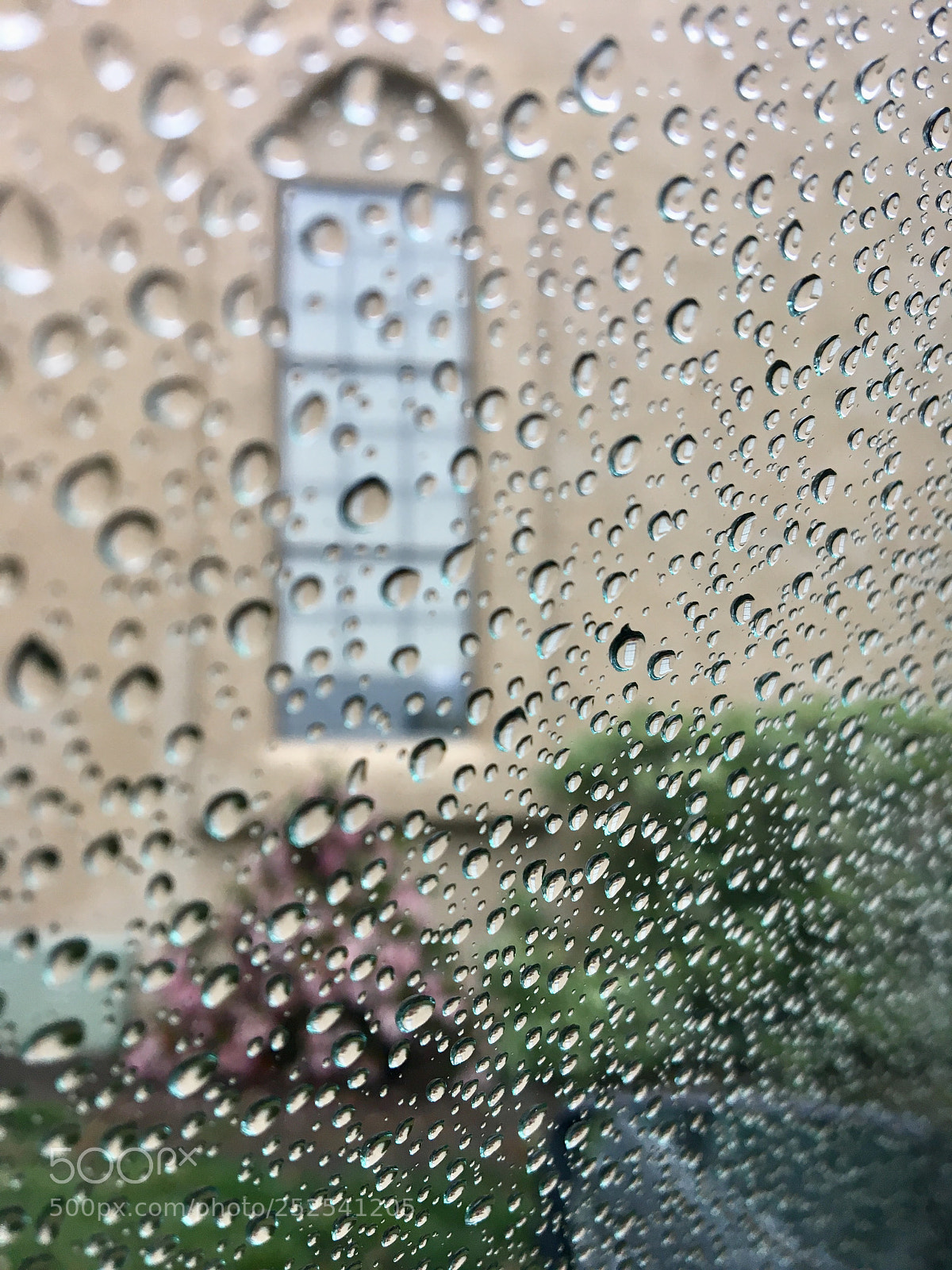 Apple iPhone 6s sample photo. Rainy california photography
