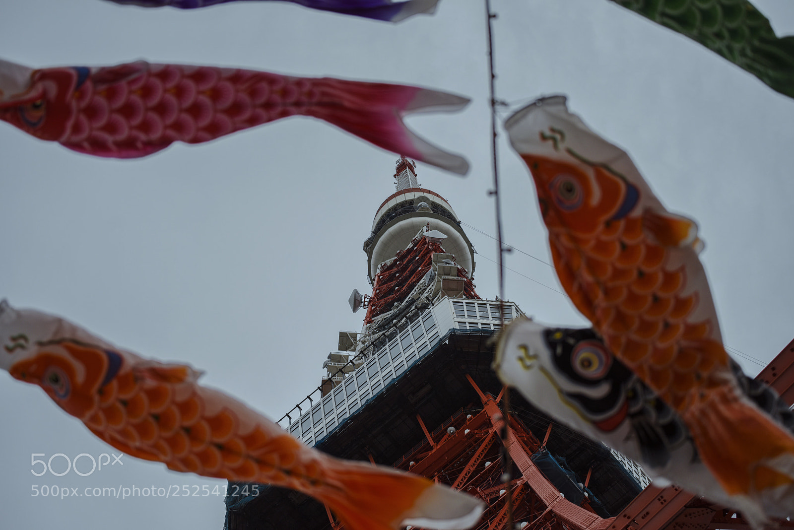 Nikon D810 sample photo. Tokyo tower and the photography