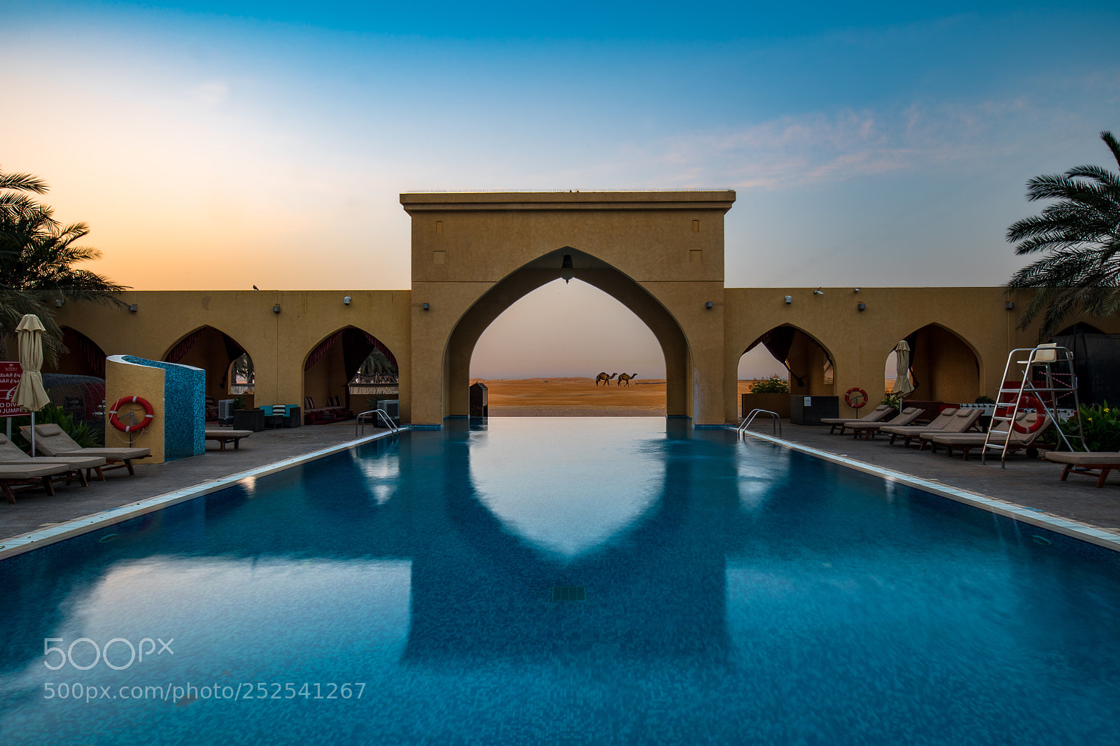 Nikon D850 sample photo. Morning photography