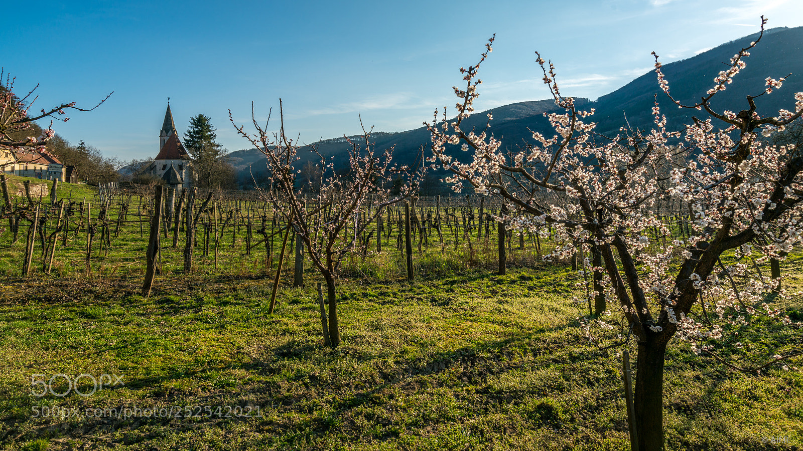 Sony a7R II sample photo. This is the wachau photography