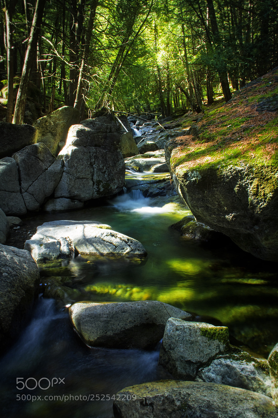 Canon EOS 7D sample photo. Cool spring waters photography
