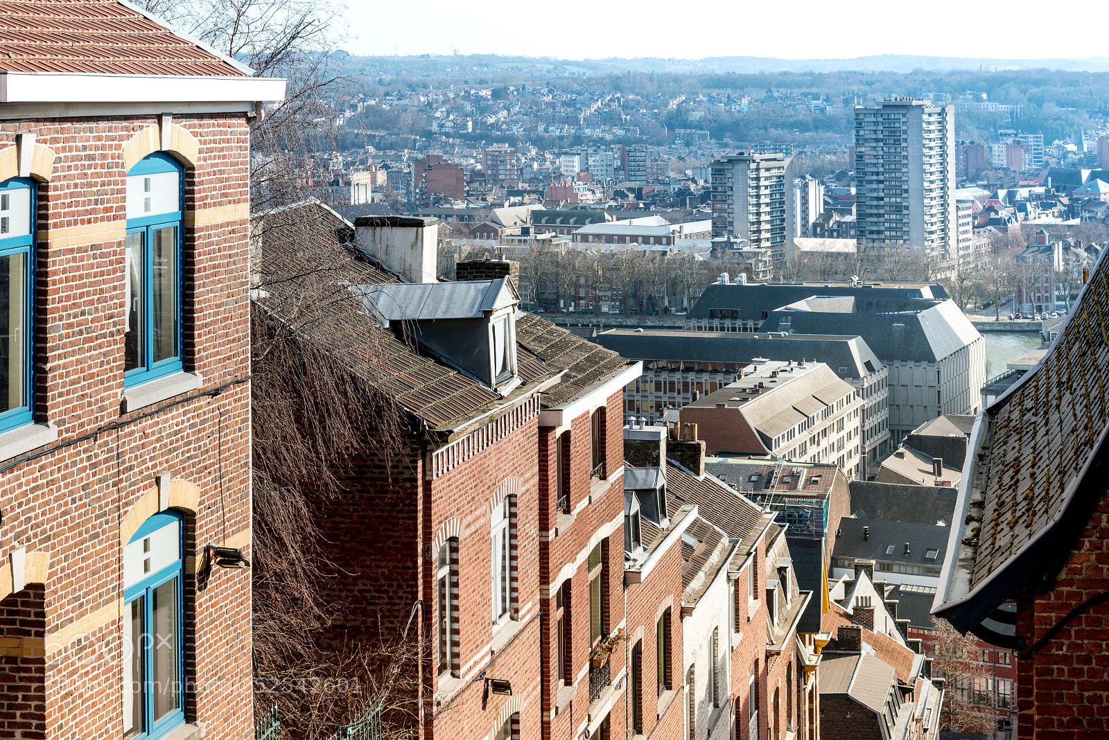 Nikon D800 sample photo. Stairs of mount bueren photography