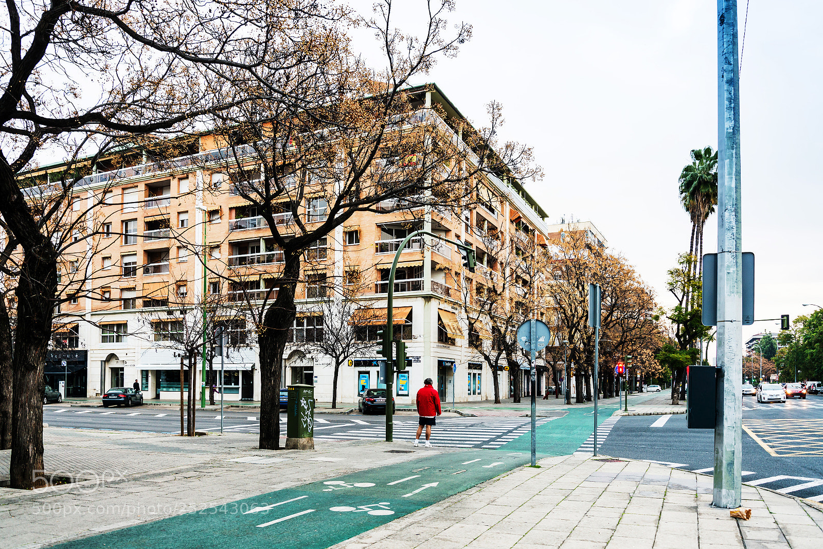 Nikon D800 sample photo. Sevilla, spain - anuary photography