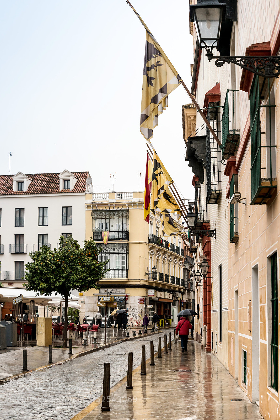 Nikon D800 sample photo. Sevilla, spain - anuary photography
