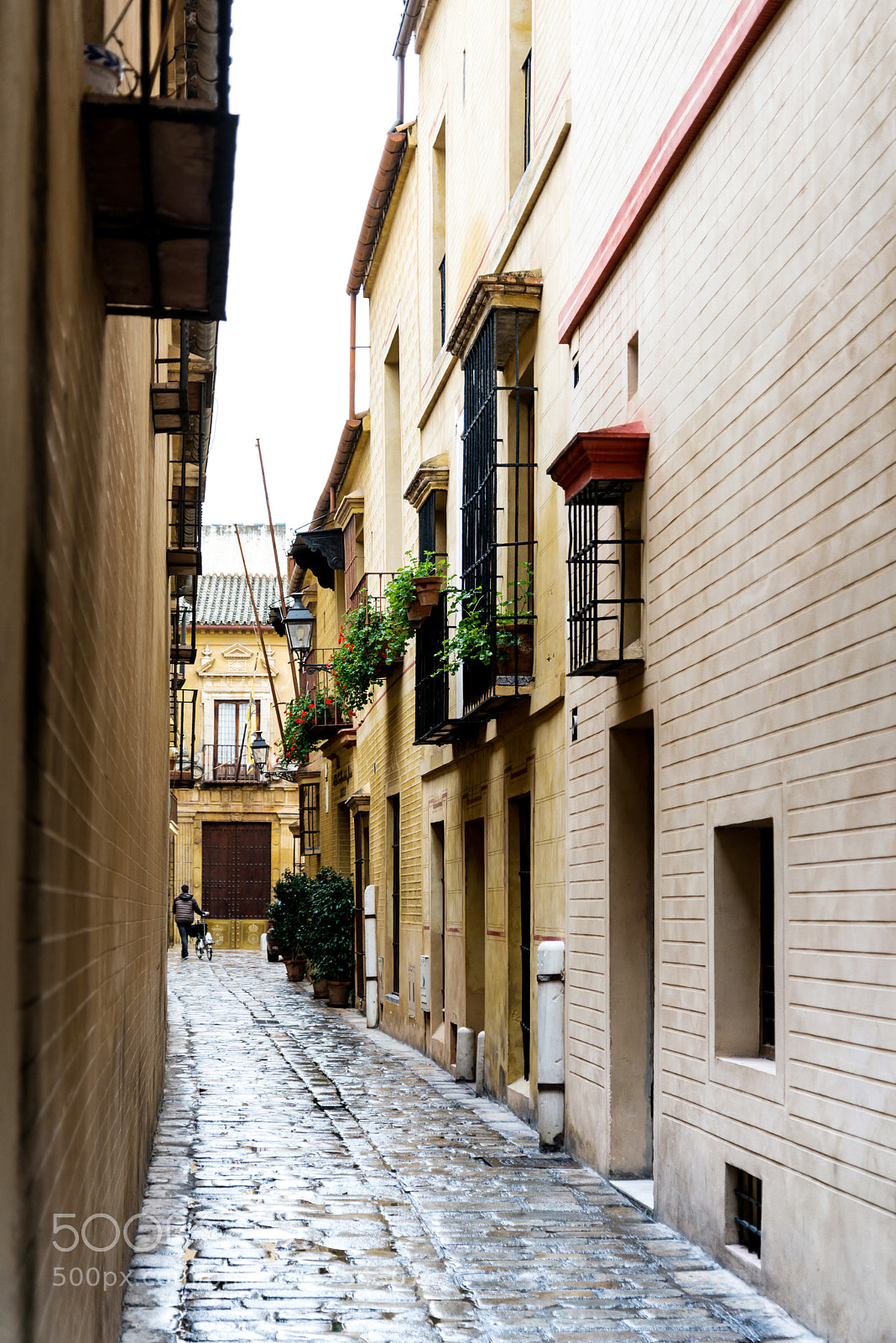 Nikon D800 sample photo. Sevilla, spain - anuary photography