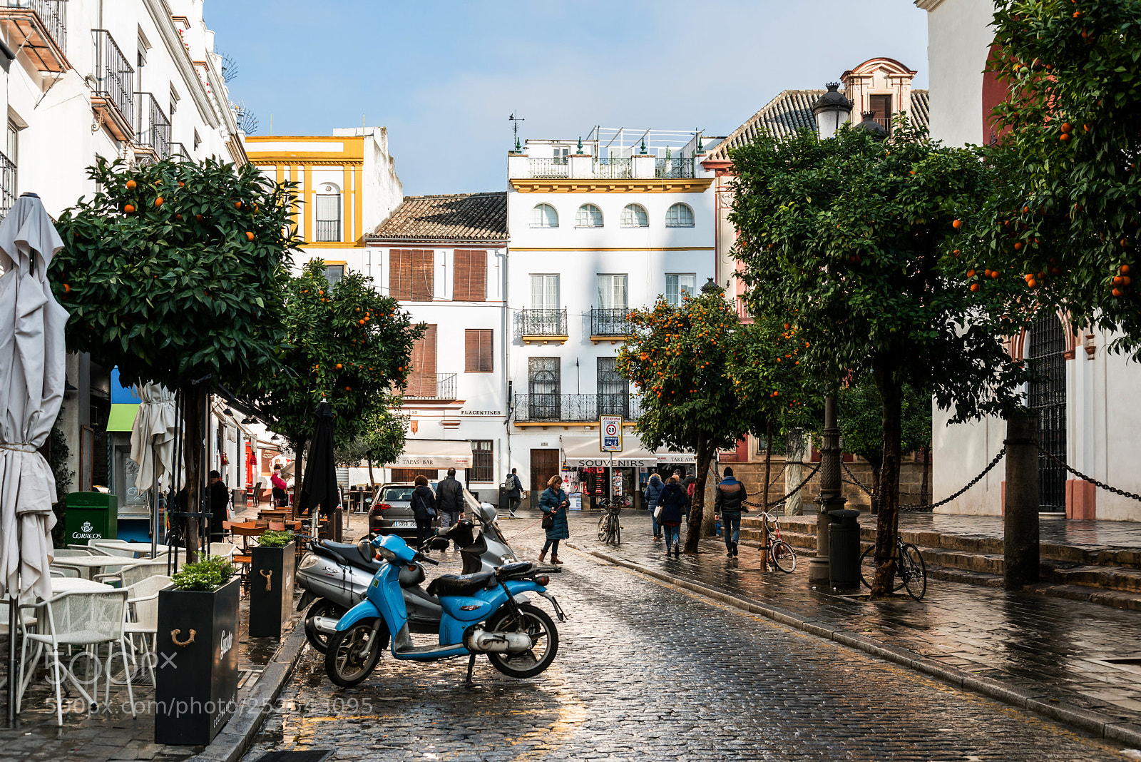 Nikon D800 sample photo. Sevilla, spain - anuary photography
