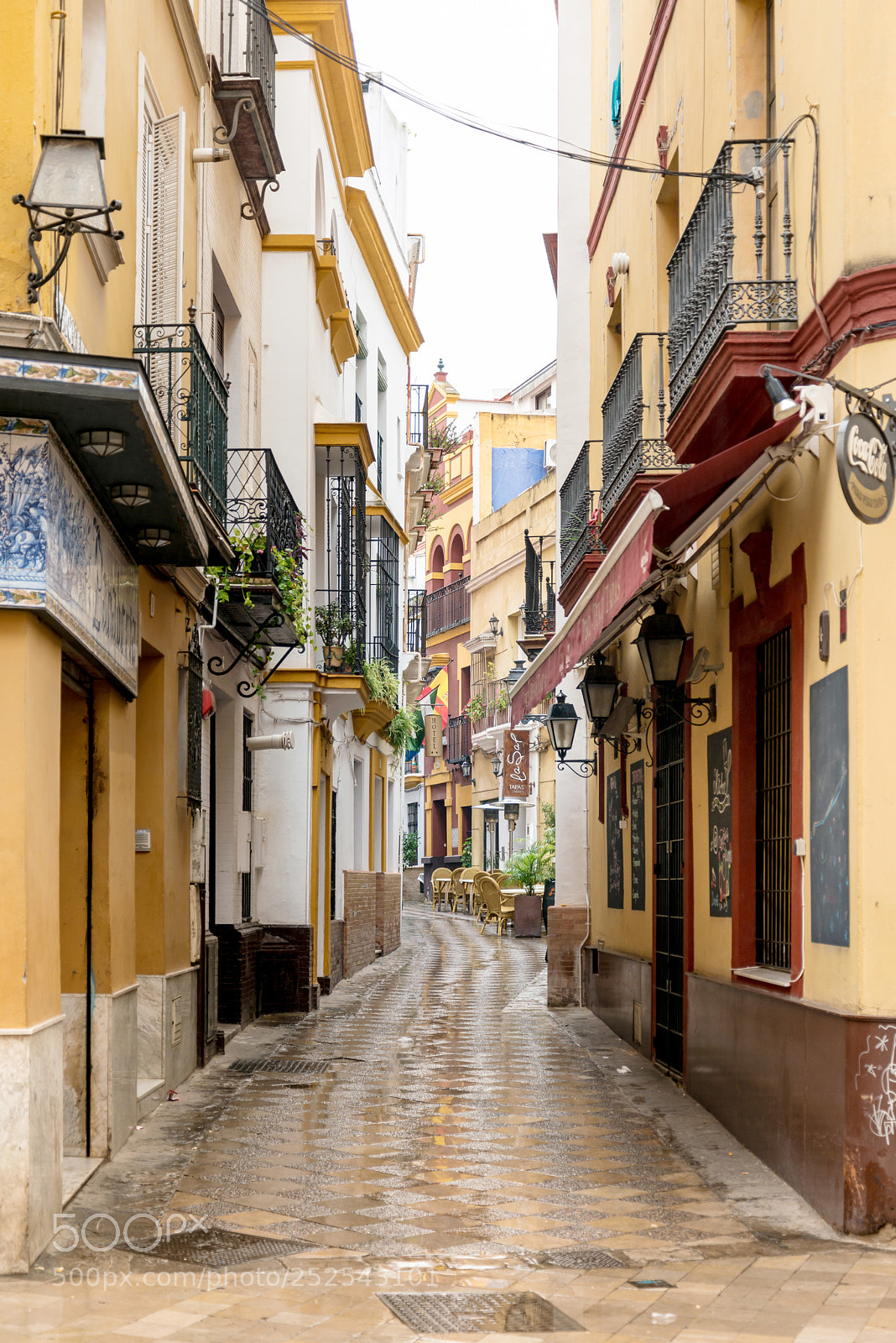 Nikon D800 sample photo. Sevilla, spain - anuary photography