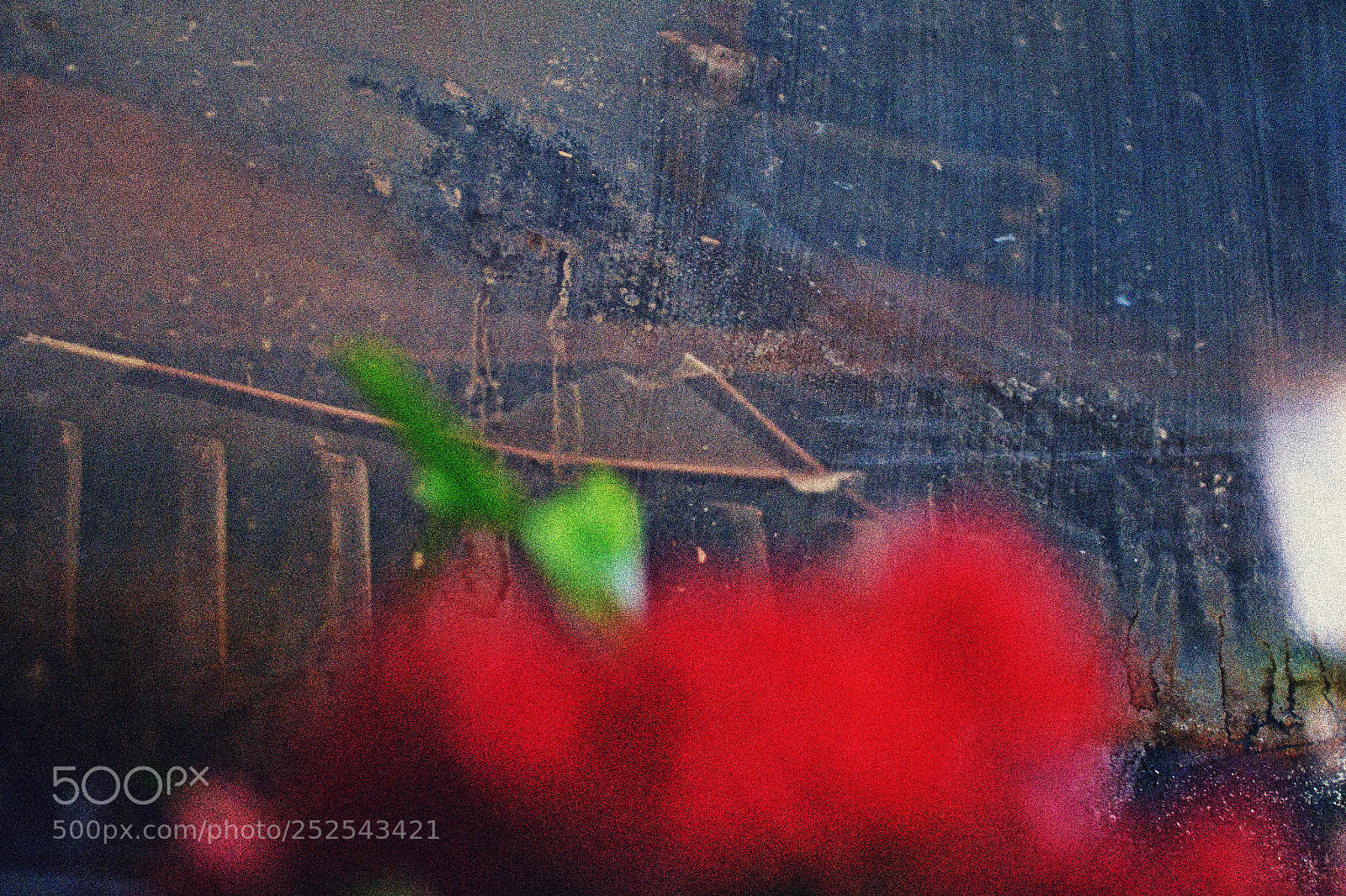 Nikon D3100 sample photo. Reality, scratched (3) photography