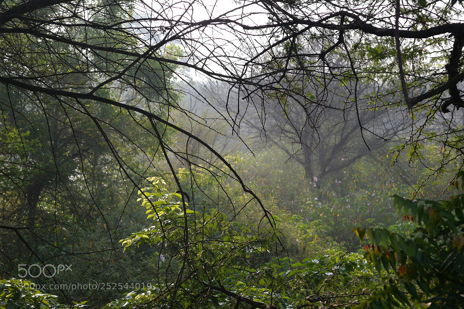 Samsung NX2000 sample photo. Morning ride photography