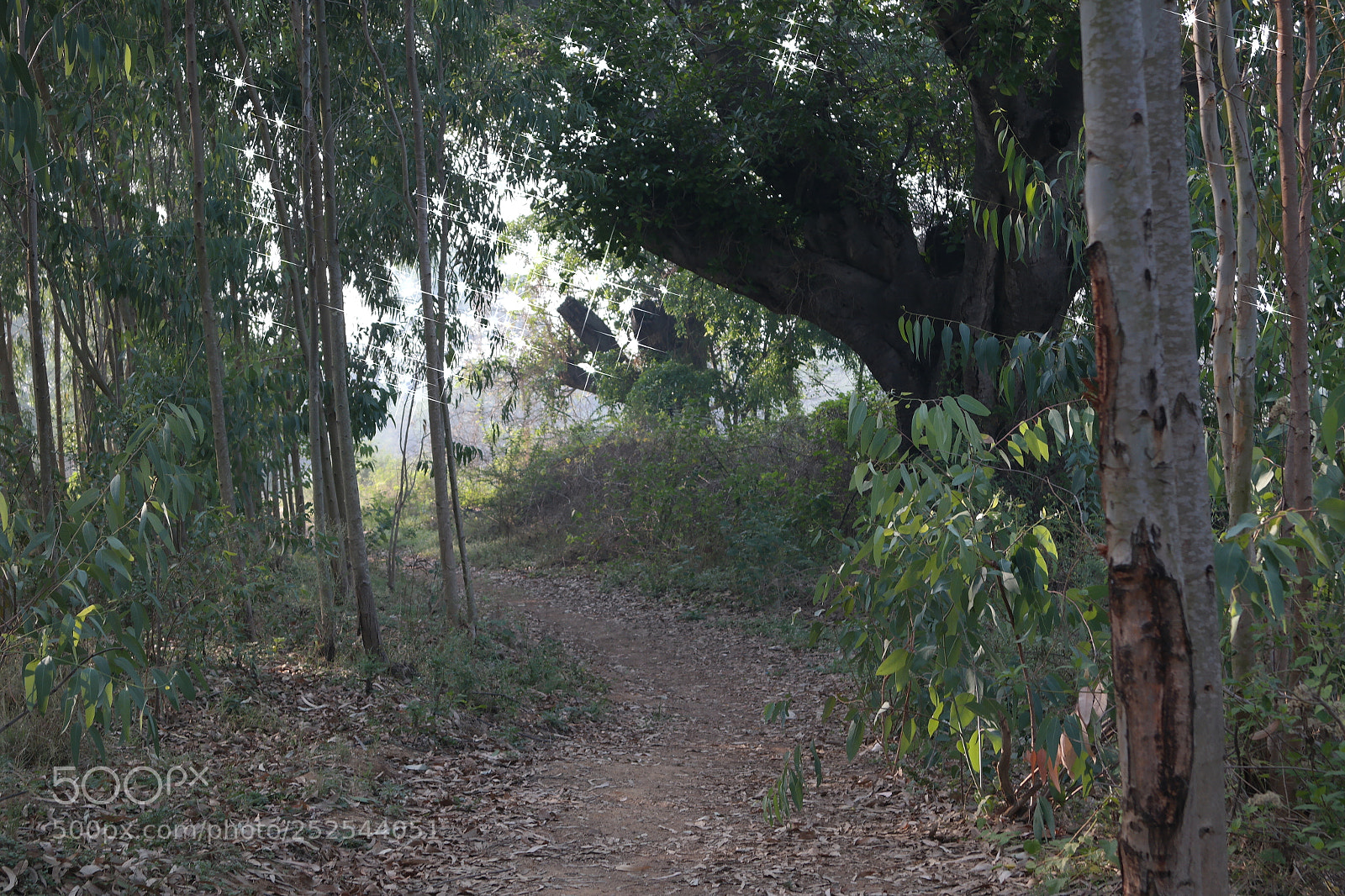 Samsung NX2000 sample photo. Morning ride photography