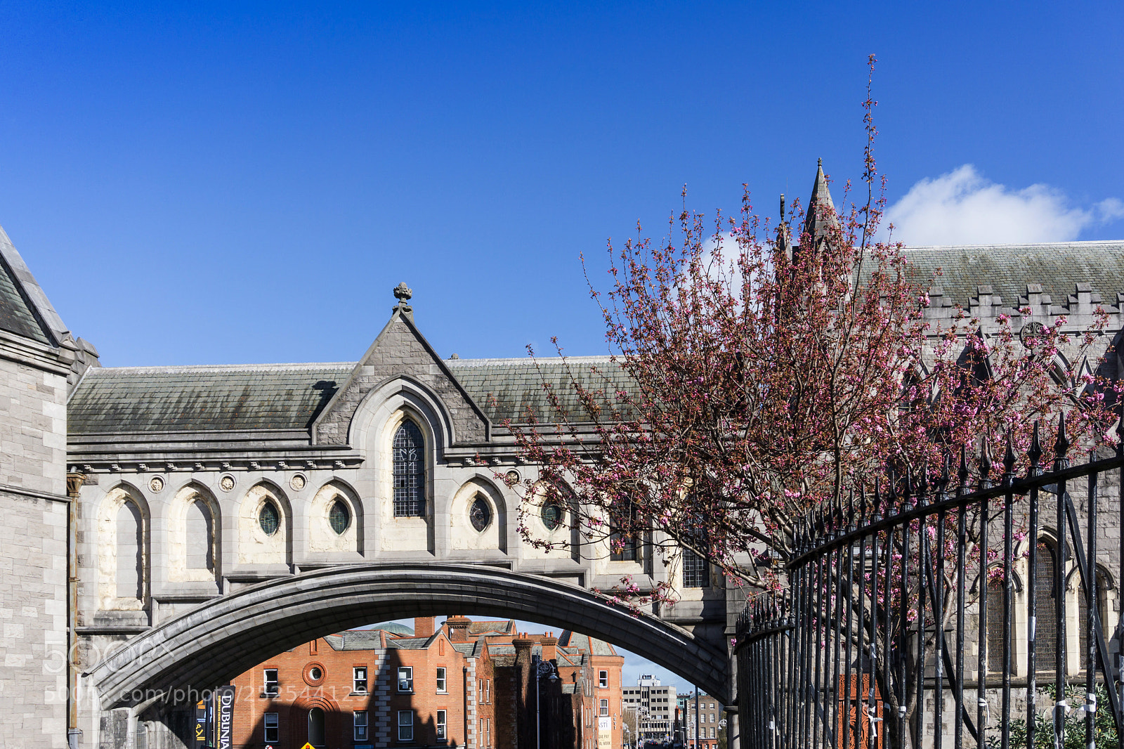 Sony a6000 sample photo. Dublin, ireland - march photography
