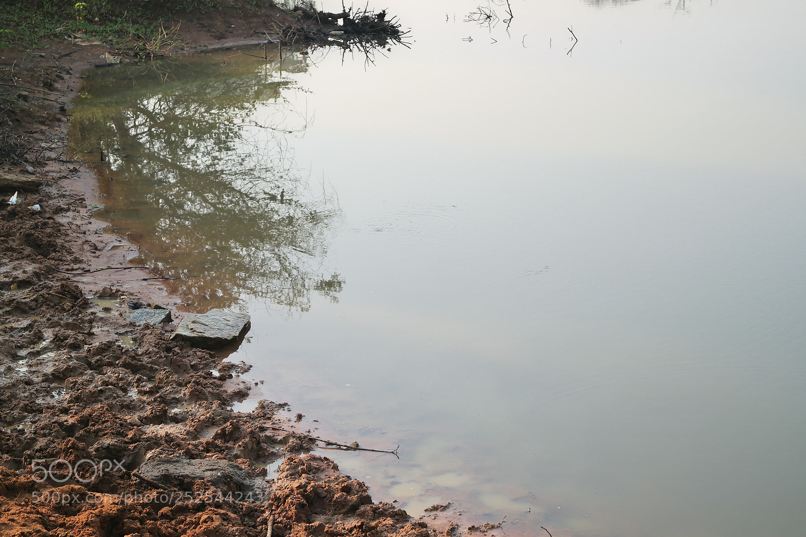 Samsung NX2000 sample photo. Morning ride photography