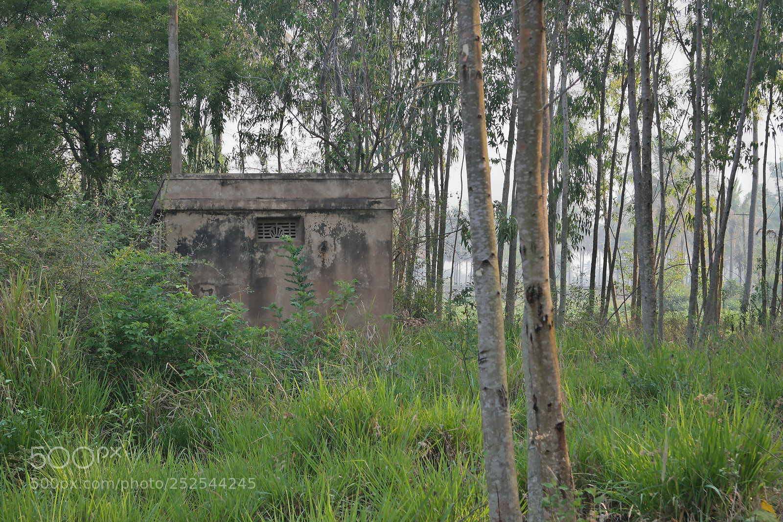 Samsung NX2000 sample photo. Morning ride photography