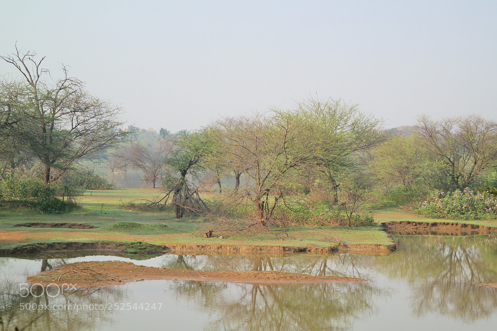Samsung NX2000 sample photo. Morning ride photography