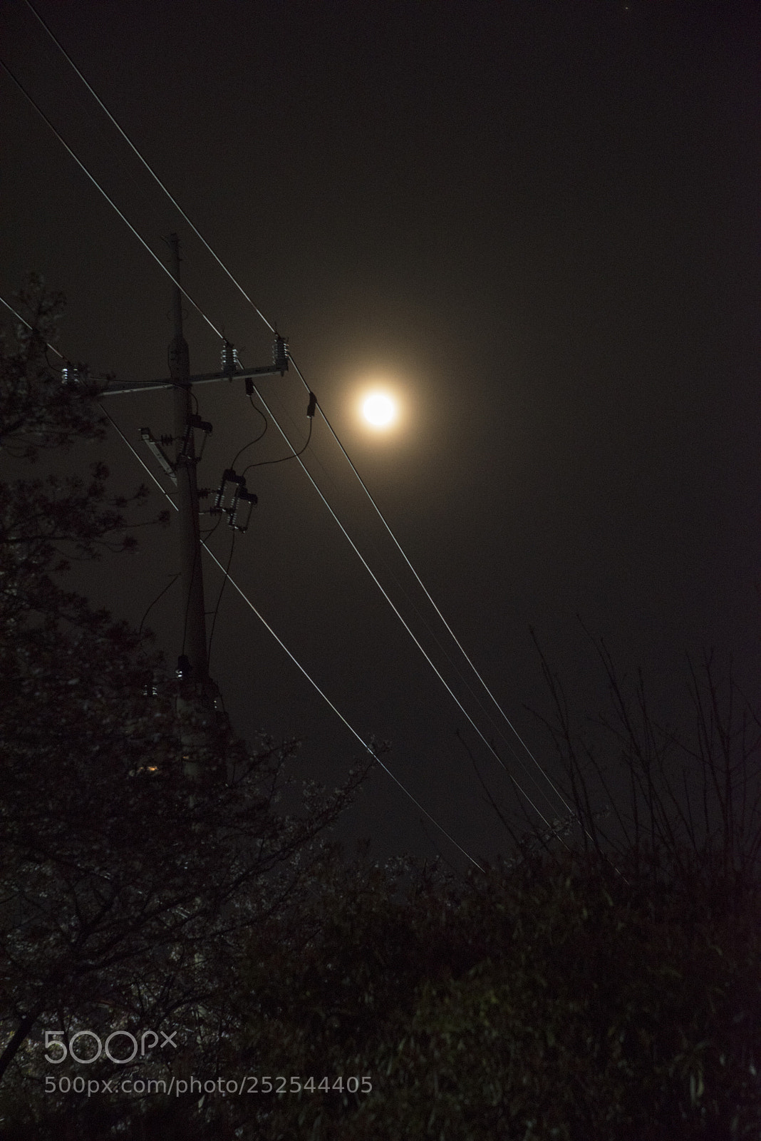 Nikon D810 sample photo. Moon on the wire 2 photography