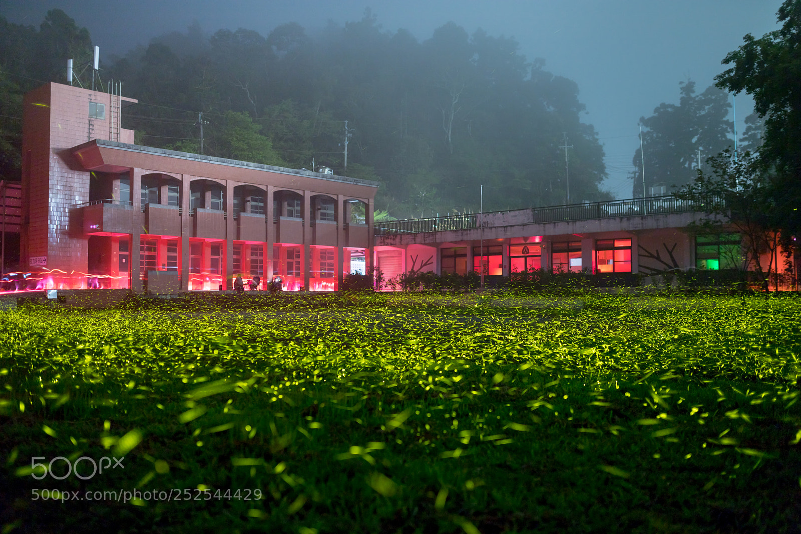 Canon EOS 6D Mark II sample photo. Untitled photography