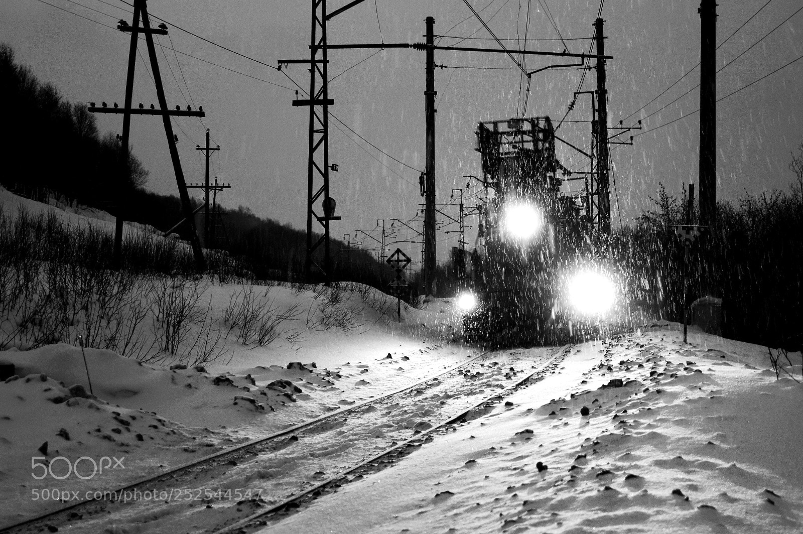 Sony SLT-A58 sample photo. сквозь снег photography