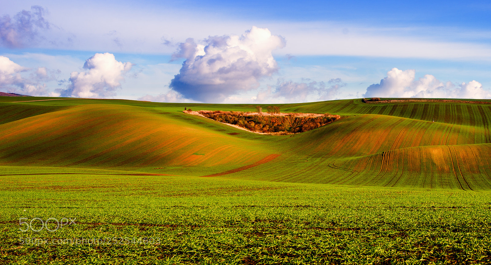 Nikon D800E sample photo. Edit photography